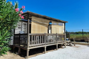 Spacious chalet with furnished terrace